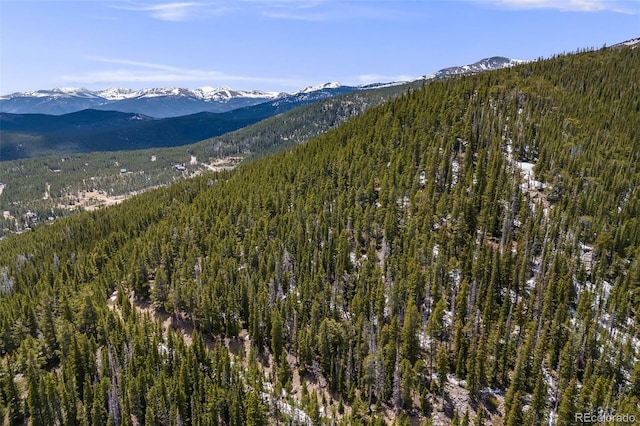 1 Nebraska Cir, Idaho Springs, CO 80452
