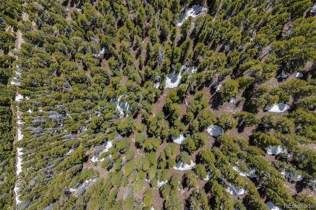 1 Nebraska Cir, Idaho Springs, CO 80452