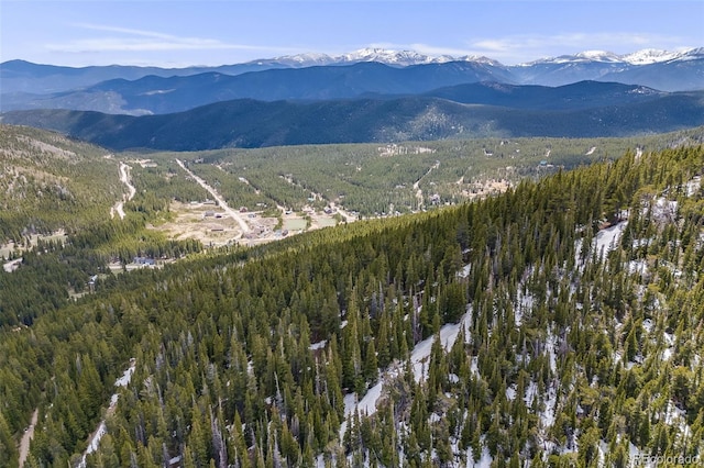 1 Nebraska Cir, Idaho Springs, CO 80452