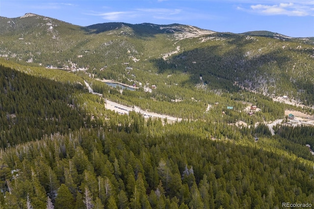1 Nebraska Cir, Idaho Springs, CO 80452