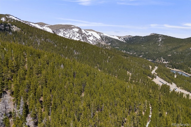 1 Nebraska Cir, Idaho Springs, CO 80452