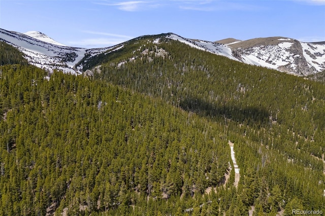1 Nebraska Cir, Idaho Springs, CO 80452