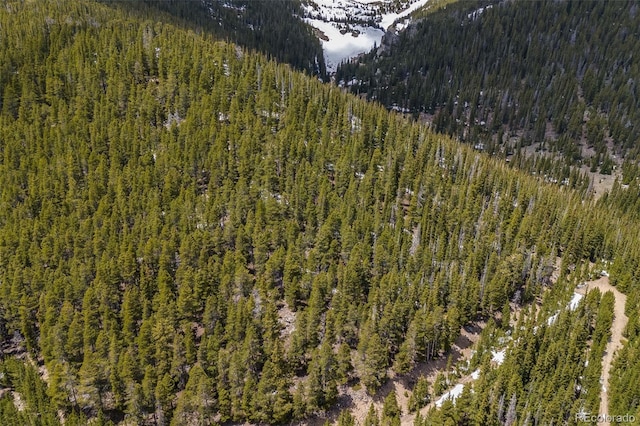 1 Nebraska Cir, Idaho Springs, CO 80452