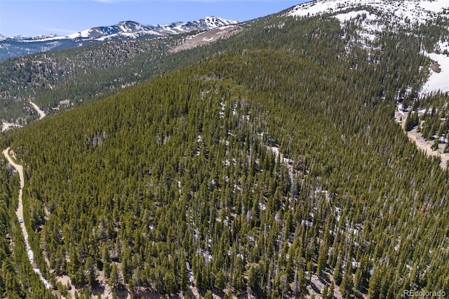 1 Nebraska Cir, Idaho Springs, CO 80452