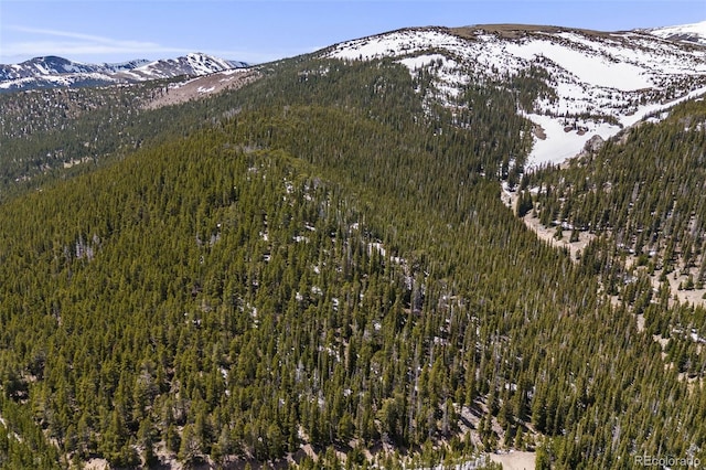 1 Nebraska Cir, Idaho Springs, CO 80452