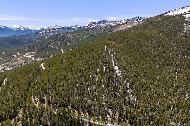 1 Nebraska Cir, Idaho Springs, CO 80452