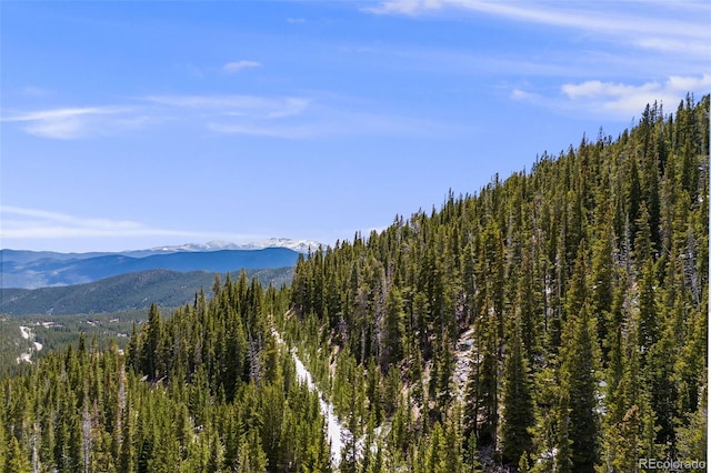 1 Nebraska Cir, Idaho Springs, CO 80452