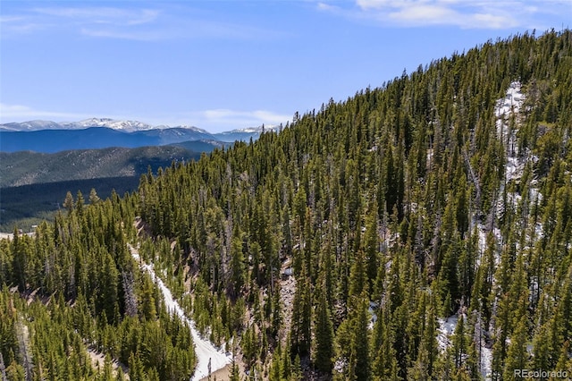 1 Nebraska Cir, Idaho Springs, CO 80452
