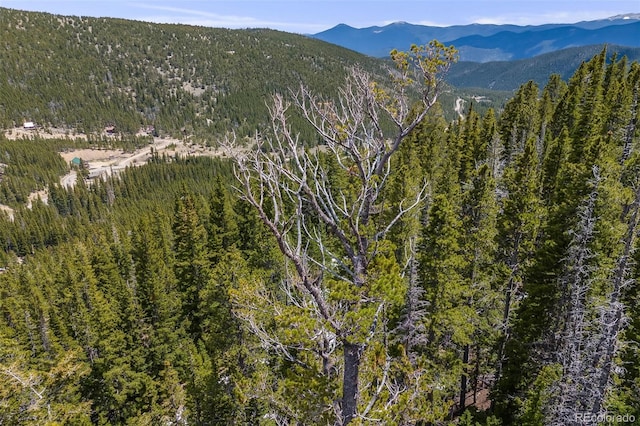1 Nebraska Cir, Idaho Springs, CO 80452