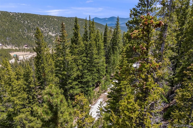 1 Nebraska Cir, Idaho Springs, CO 80452