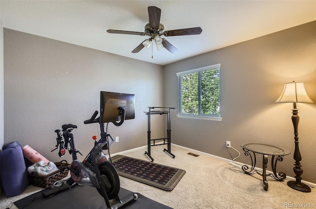 7114 Brittany Dr, Fort Collins, CO 80525 - photo 17