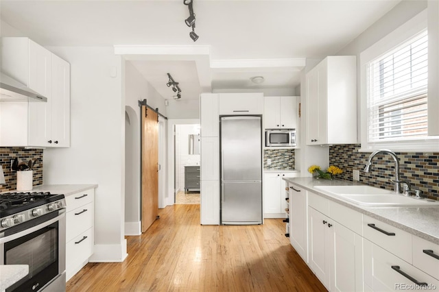 kitchen with a sink, stainless steel appliances, exhaust hood, a barn door, and light countertops