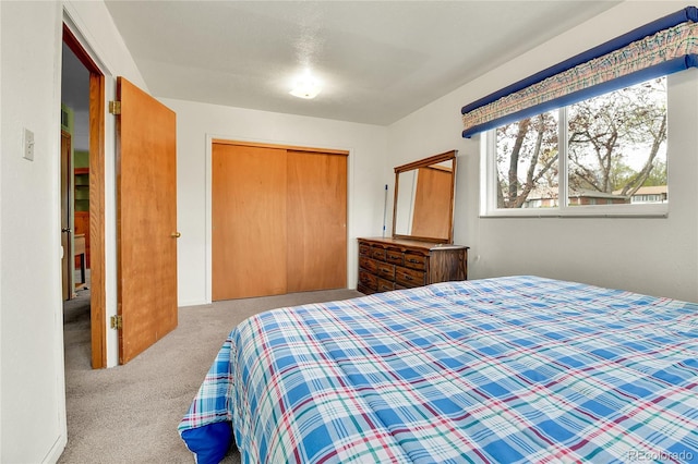 bedroom featuring carpet flooring and a closet
