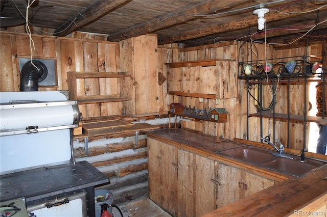 basement with sink