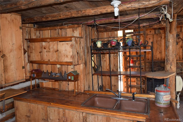 basement with sink