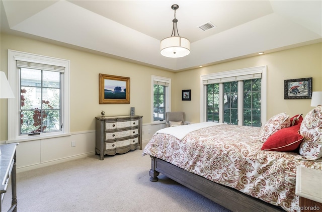 carpeted bedroom with a raised ceiling