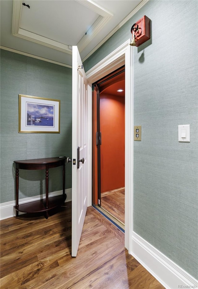 hallway featuring hardwood / wood-style flooring and ornamental molding