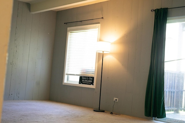 spare room featuring carpet flooring and wood walls