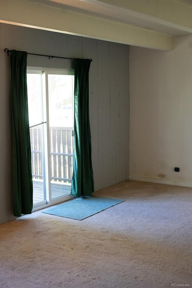 empty room with light colored carpet and wood walls