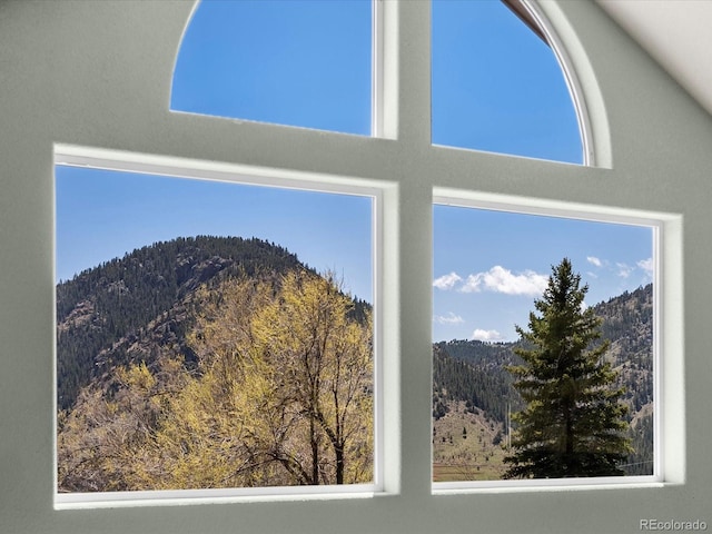 2571 SW Grapevine Rd, Idledale, CO 80453 - detailed view of a mountain backdrop