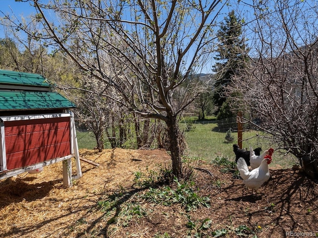 2571 SW Grapevine Rd, Idledale, CO 80453 - view of yard