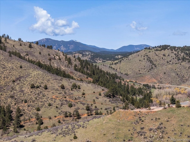 2571 SW Grapevine Rd, Idledale, CO 80453 - mountain view
