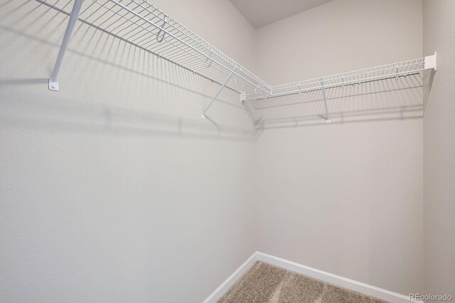 129 Robin Rd, Johnstown, CO 80534 - photo 15