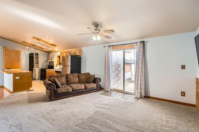 441 Johnson St, Frederick, CO 80530 - photo 11