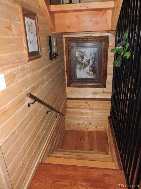2137 Riccardo Ln, Fort Garland, CO 81133 - photo 30