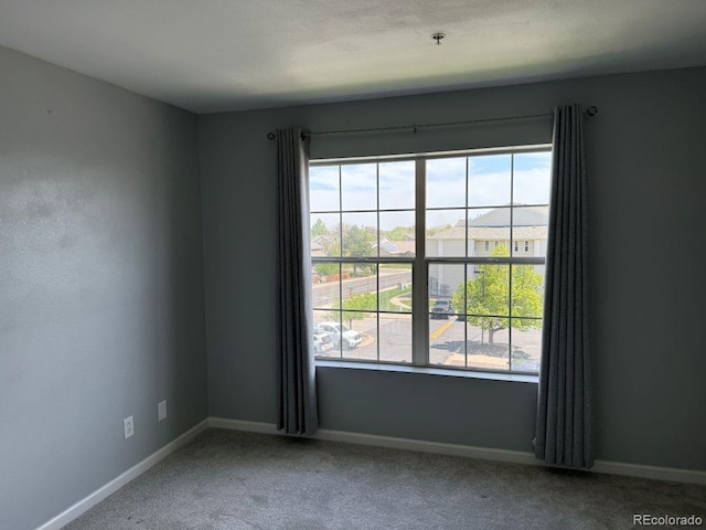 12304 W Cross Dr Unit 304, Littleton, CO 80127 - carpeted empty room with a pendent fire sprinkler and baseboards