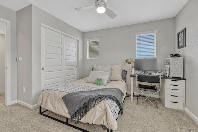 10793 White Diamond Pt, Colorado Springs, CO 80908 - photo 25