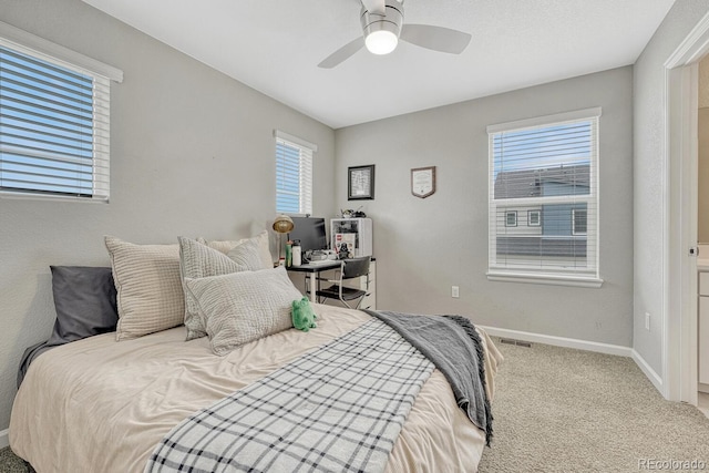 10793 White Diamond Pt, Colorado Springs, CO 80908 - photo 26
