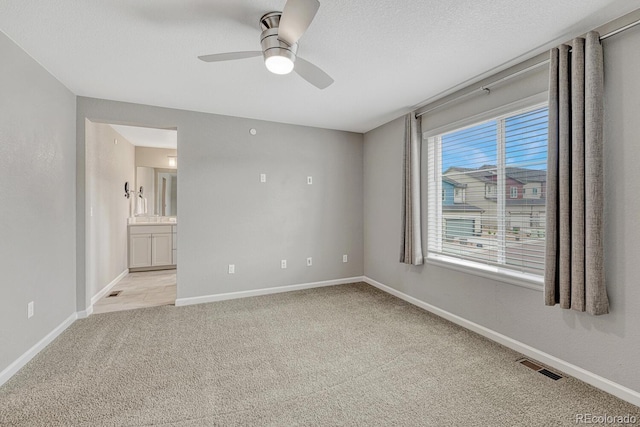 10793 White Diamond Pt, Colorado Springs, CO 80908 - photo 29