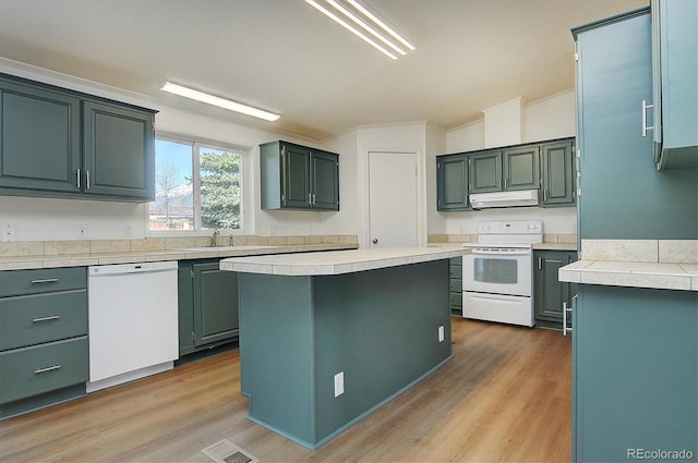 164 Robert Dr, Buena Vista, CO 81211 - kitchen with white appliances, under cabinet range hood, light wood-style floors, and light countertops