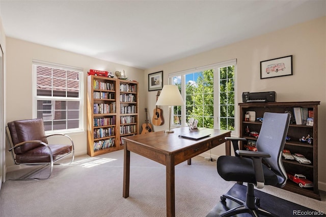 16268 E Belleview Dr, Centennial, CO 80015 - office featuring carpet floors