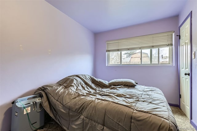 bedroom featuring carpet