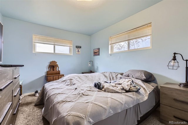 carpeted bedroom featuring multiple windows