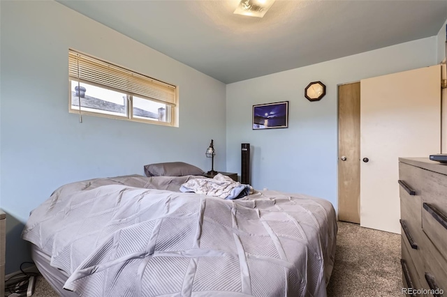 bedroom with dark colored carpet