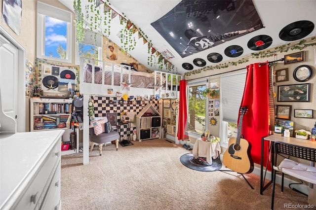 7717 S Grape Ct, Centennial, CO 80122 - rec room featuring carpet floors