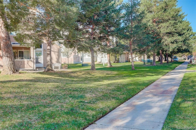 view of yard