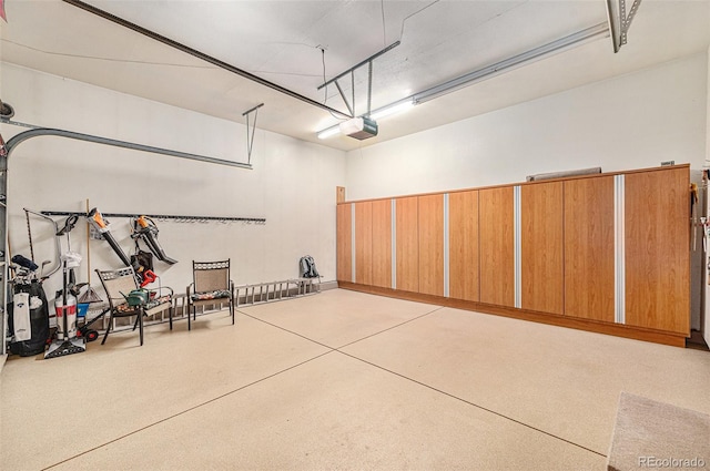 16929 W 63rd Ln, Golden, CO 80403 - garage featuring a garage door opener