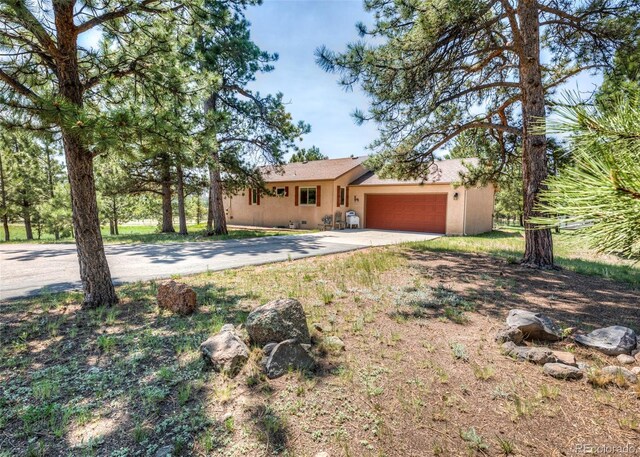 2602 Southpark Rd, Florissant, CO 80816 - photo 2