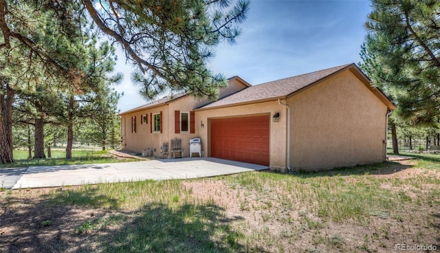 2602 Southpark Rd, Florissant, CO 80816 - photo 3