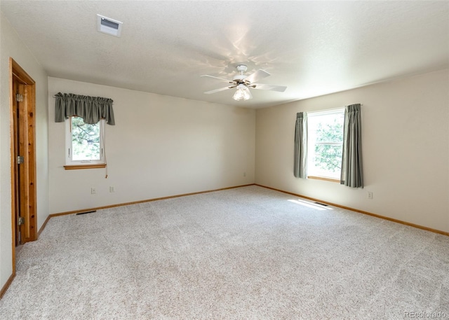 2602 Southpark Rd, Florissant, CO 80816 - photo 21