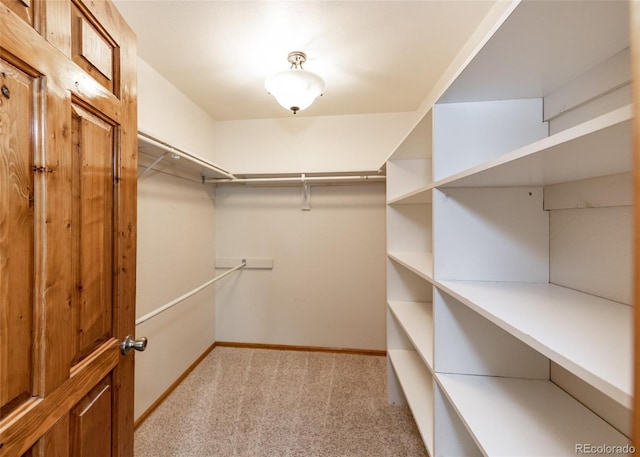 2602 Southpark Rd, Florissant, CO 80816 - photo 26