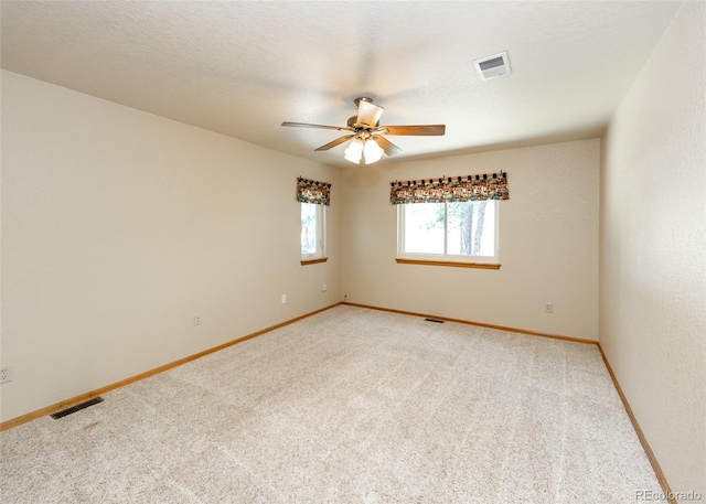 2602 Southpark Rd, Florissant, CO 80816 - photo 29