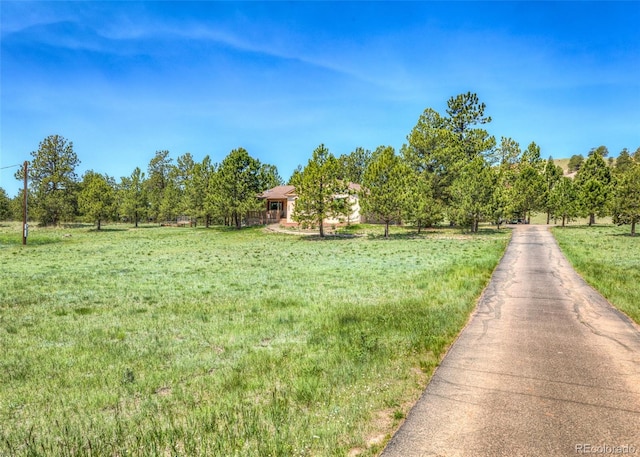 2602 Southpark Rd, Florissant, CO 80816 - photo 44