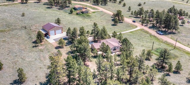 2602 Southpark Rd, Florissant, CO 80816 - photo 46