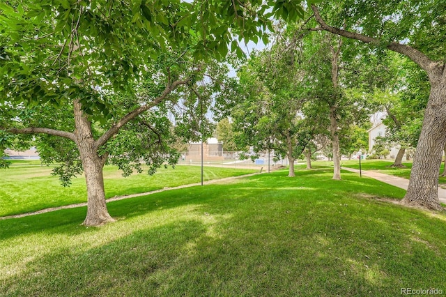 8555 Fairmount Dr Unit A104, Denver, CO 80247 - photo 25