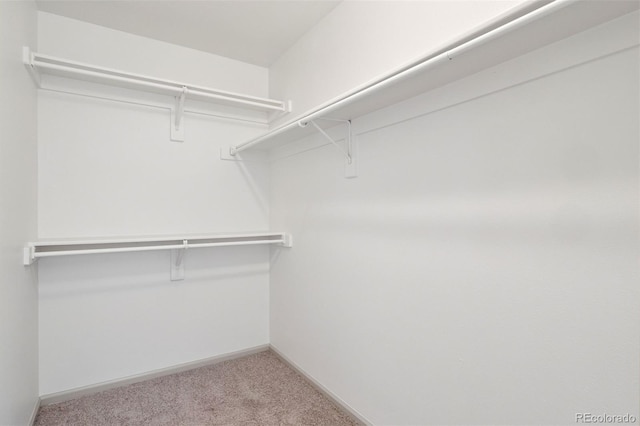 20396 E Berry Pl, Centennial, CO 80015 - spacious closet with carpet flooring
